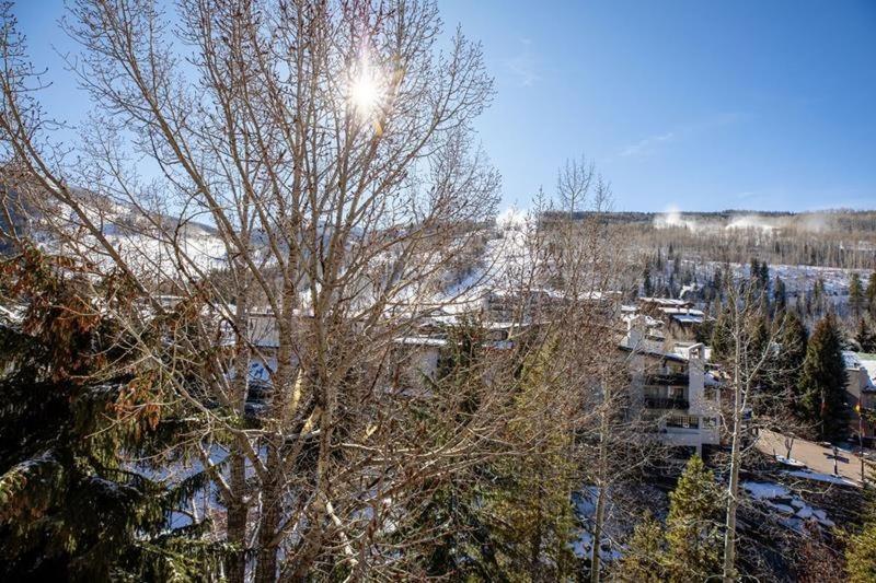 Village Center Condos Vail Rom bilde